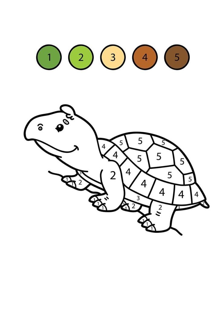 tortuga para colorear