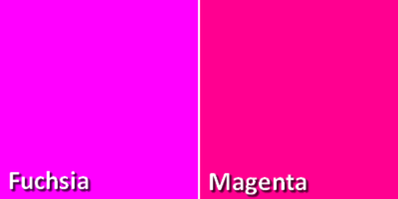 Color Fucsia Qu Color Es El Fucsia 